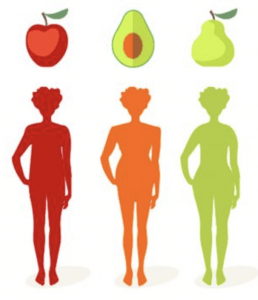 Wskaźnik WHR i trzy typy sylwetki: Jabłko, Awokado i Gruszka